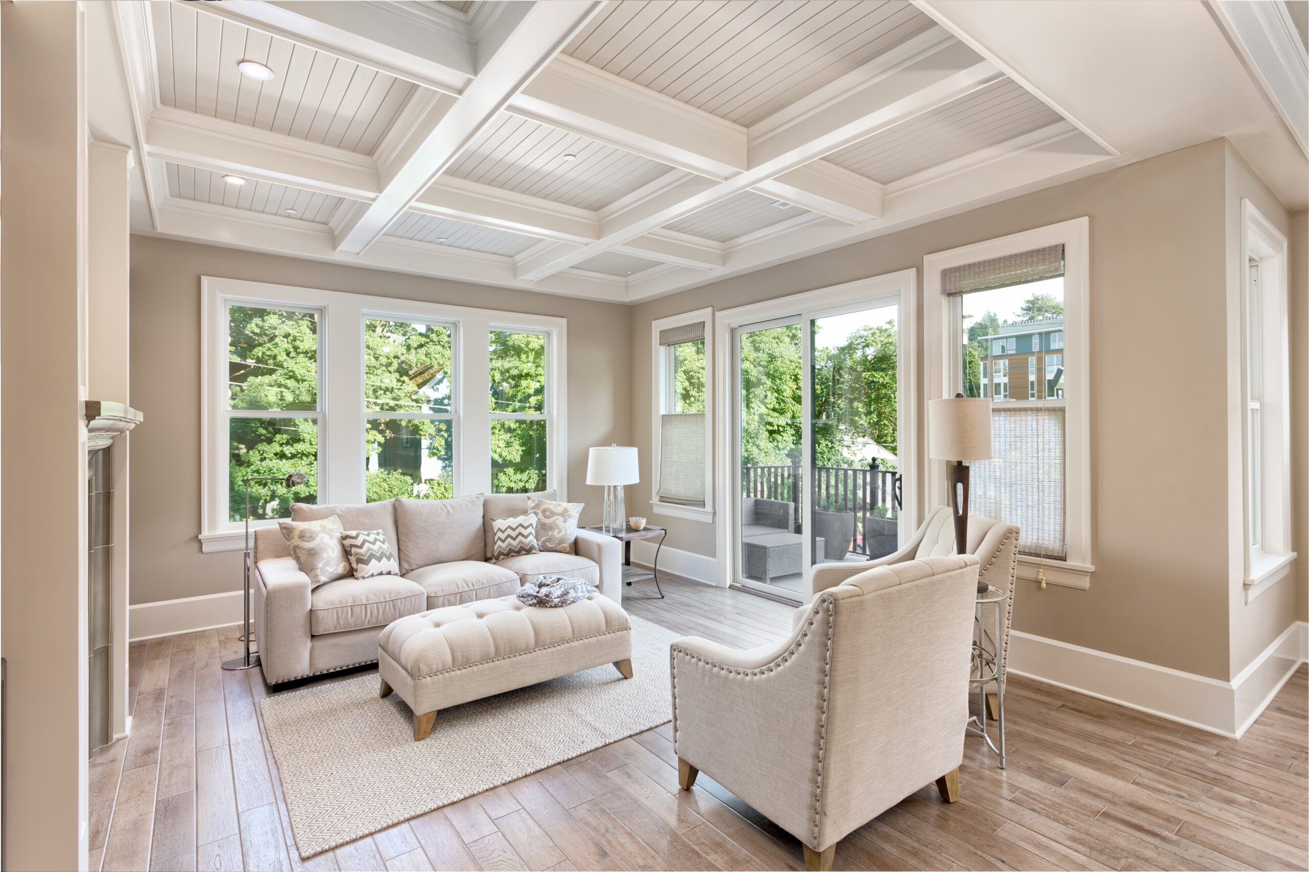 Luxurious Living Room in new home